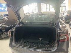 Tesla Model 3 Standard Range RWD Upgrade 3D6 - ფოტო 19