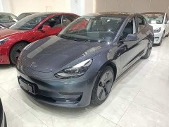 Tesla Model 3 Standard Range RWD Upgrade 3D6 - ფოტო 2