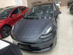 Tesla Model 3 Standard Range RWD Upgrade 3D6 - ფოტო 3