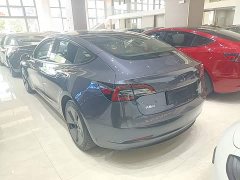 Tesla Model 3 Standard Range RWD Upgrade 3D6 - ფოტო 5