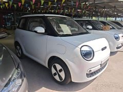 Changan Lumin Treasure Edition 205km Cool Love White CATL - ფოტო 4