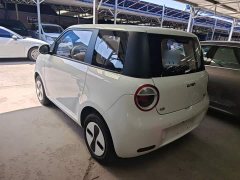 Changan Lumin Treasure Edition 205km Cool Love White CATL - ფოტო 5
