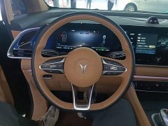 Voyah Lantu Dreamchaser 2022 Low Carbon Edition Family - ფოტო 11