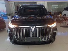 Voyah Lantu Dreamchaser 2022 Low Carbon Edition Family - ფოტო 3