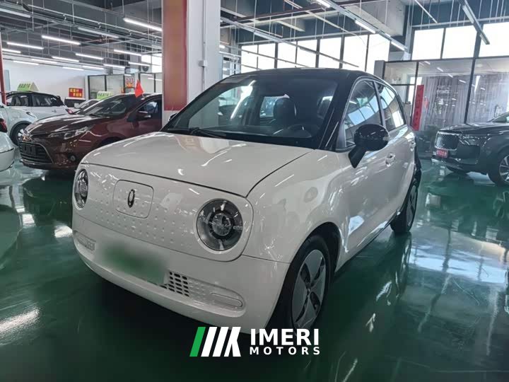 ORA Black Cat 301km Base - ავტომობილი ჩინეთიდან