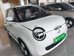 Changan Lumin 301km Honey Scent Edition - ფოტო 4