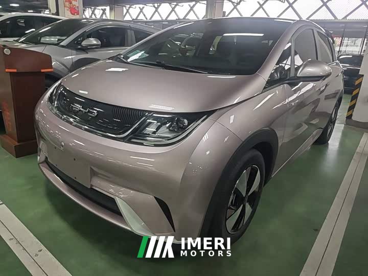 BYD Dolphin 420km Fashion Edition - ავტომობილი ჩინეთიდან