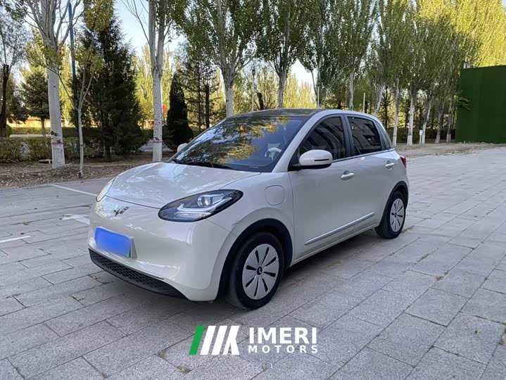 Wuling Binguo 333km Quick Enjoy Edition - ავტომობილი ჩინეთიდან