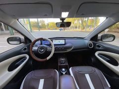 Wuling Binguo 333km Quick Enjoy Edition - ფოტო 15