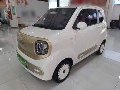FAW Besturn Xiaoma 222km Lightning Edition - ფოტო 1