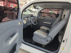 FAW Besturn Xiaoma 222km Lightning Edition - ფოტო 16