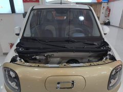 FAW Besturn Xiaoma 222km Lightning Edition - ფოტო 20