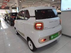 FAW Besturn Xiaoma 222km Lightning Edition - ფოტო 5