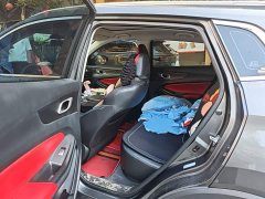 Changan CS55 Plus 2nd Generation 1.5T DCT Premium - ფოტო 15