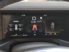 Tank 300 2023 Off-Road Edition 2.0T Conqueror - ფოტო 12