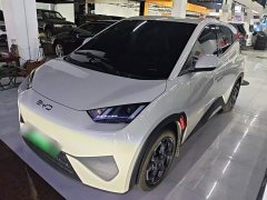 BYD Seagull Smart Drive 405km Freedom Edition - ფოტო 1
