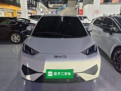 BYD Seagull Smart Drive 405km Freedom Edition - ფოტო 3