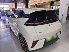BYD Seagull Smart Drive 405km Freedom Edition - ფოტო 5