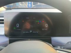 Geely Geometry E Firefly 2023 401KM Lightning Tiger 5-Seater - ფოტო 12