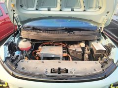 Geely Geometry E Firefly 2023 401KM Lightning Tiger 5-Seater - ფოტო 20