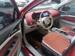 ORA Good Cat 2021 400km Standard Range Venus Edition LFP Battery - ფოტო 16