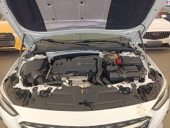 Buick Regal 552T Elite - ფოტო 20