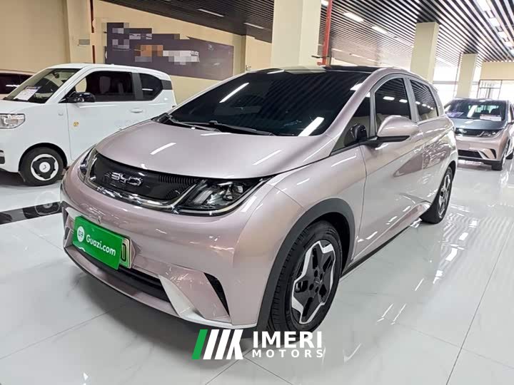 BYD Dolphin 405km Fashion Edition - ავტომობილი ჩინეთიდან