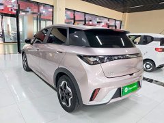 BYD Dolphin 405km Fashion Edition - ფოტო 5
