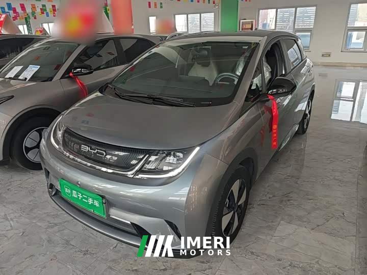BYD Dolphin 420km Freedom Edition - ავტომობილი ჩინეთიდან