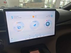 BYD Dolphin 420km Freedom Edition - ფოტო 13