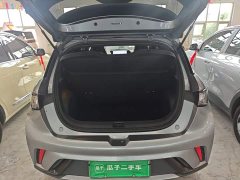 BYD Dolphin 420km Freedom Edition - ფოტო 19