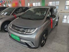 BYD Dolphin 420km Freedom Edition - ფოტო 2