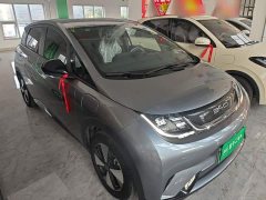 BYD Dolphin 420km Freedom Edition - ფოტო 4
