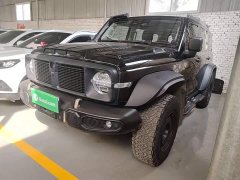 Tank 300 2023 2.0T Iron Cavalry 02 - ფოტო 1