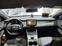 BYD Qin PLUS DM-i Smart Drive Edition 55KM Leading - ფოტო 10