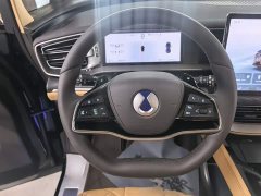 Denza BYD Denza D9 2025 DM-i AWD Premium Navigation Edition - ფოტო 5