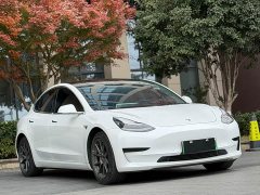 Tesla Model 3 2020 Facelift Standard Range RWD Upgrade - ფოტო 3