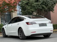 Tesla Model 3 2020 Facelift Standard Range RWD Upgrade - ფოტო 9