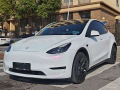 Tesla Model Y Standard Range RWD - ფოტო 1
