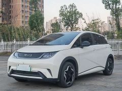 BYD Dolphin 405km Fashion Edition - ფოტო 1