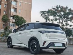 BYD Dolphin 405km Fashion Edition - ფოტო 4
