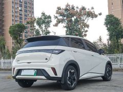 BYD Dolphin 405km Fashion Edition - ფოტო 6