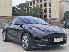 Tesla Model Y Long Range All-Wheel Drive - ფოტო 3