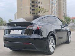 Tesla Model Y Long Range All-Wheel Drive - ფოტო 4