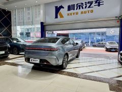 BYD Destroyer 05 2024 Glory Edition DM-i 55KM Luxury - ფოტო 12