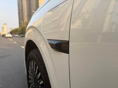Zeekr 009 2024 Seven-Seat Aisle Version AWD 108kWh - ფოტო 13