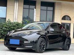 Tesla Model Y Rear-Wheel Drive - ფოტო 1