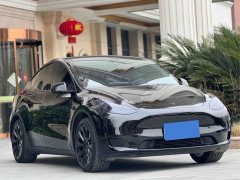 Tesla Model Y Rear-Wheel Drive - ფოტო 2