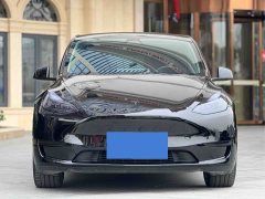 Tesla Model Y Rear-Wheel Drive - ფოტო 3