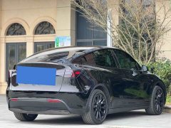 Tesla Model Y Rear-Wheel Drive - ფოტო 7
